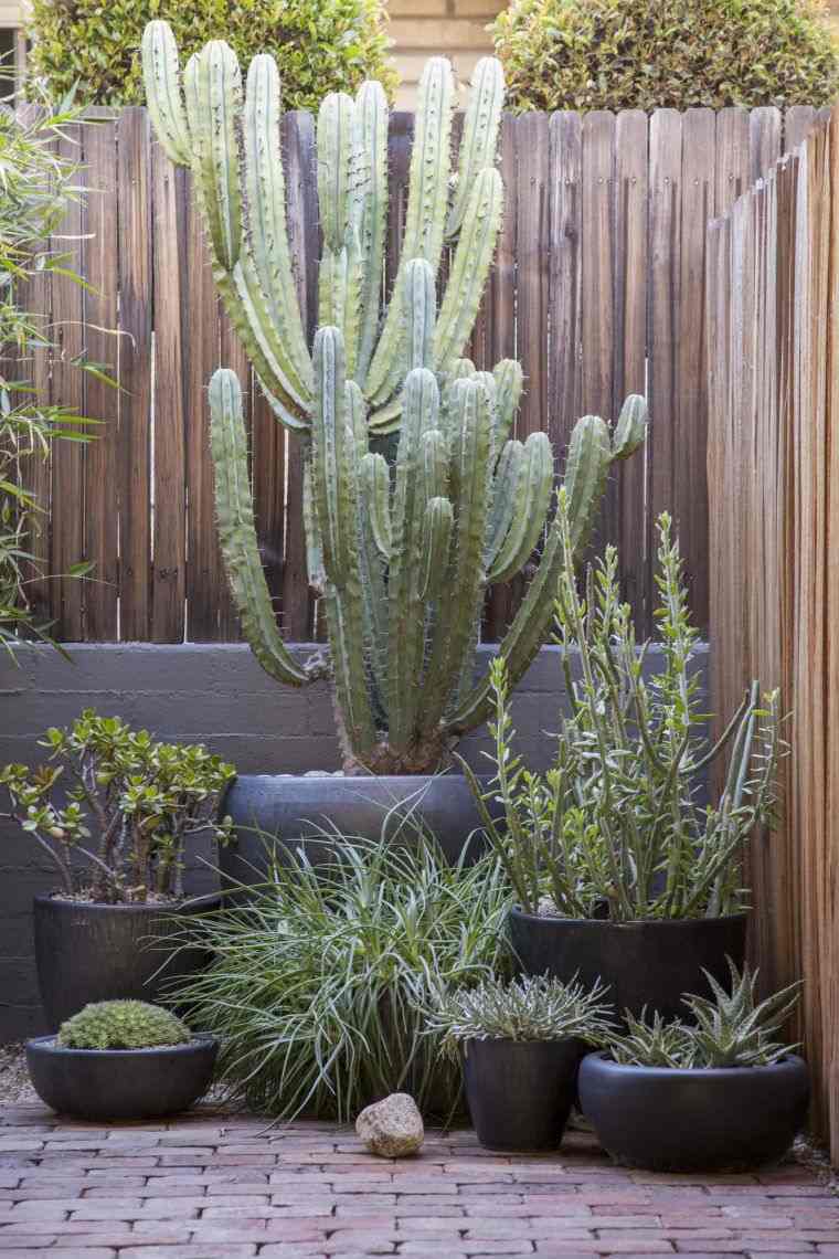 庭のための植木鉢のアイデア