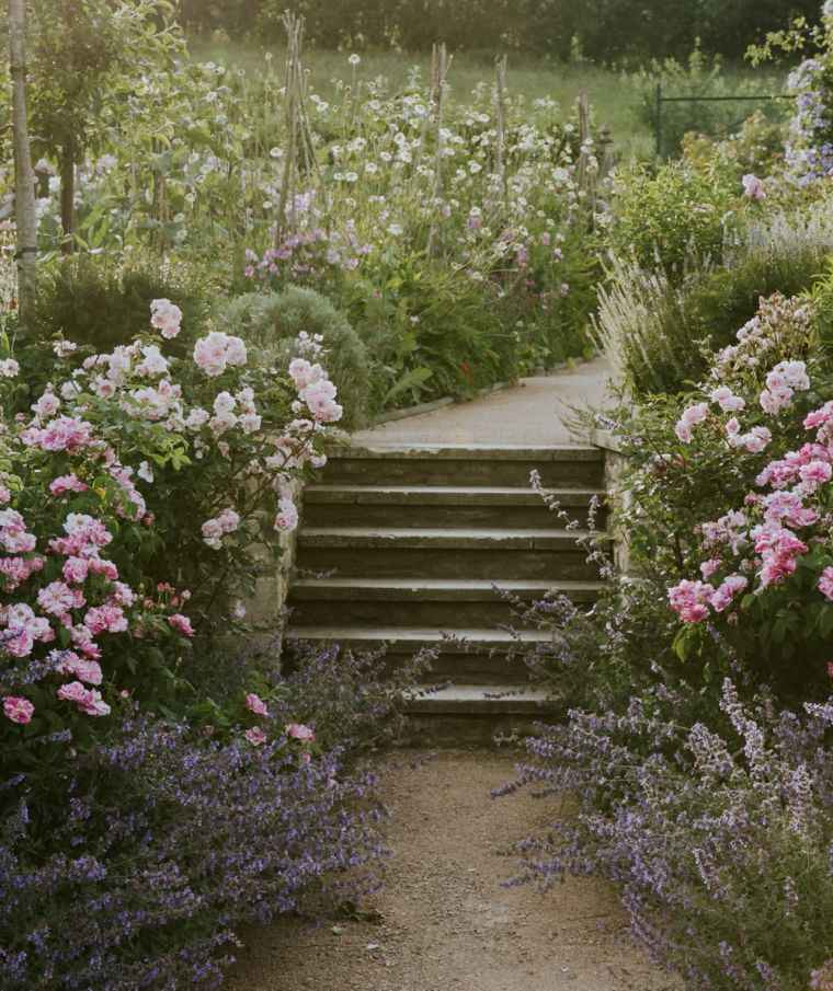 野生の花と庭のトレンド