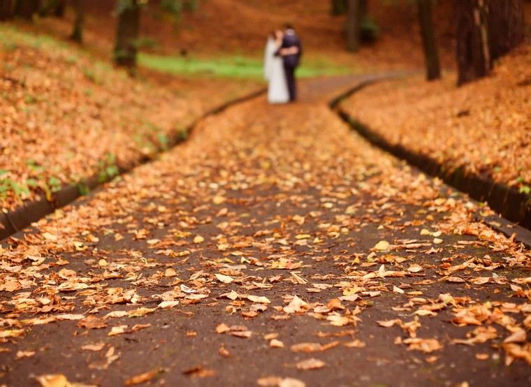 秋の結婚式-装飾-秋のテーマ-アイデア