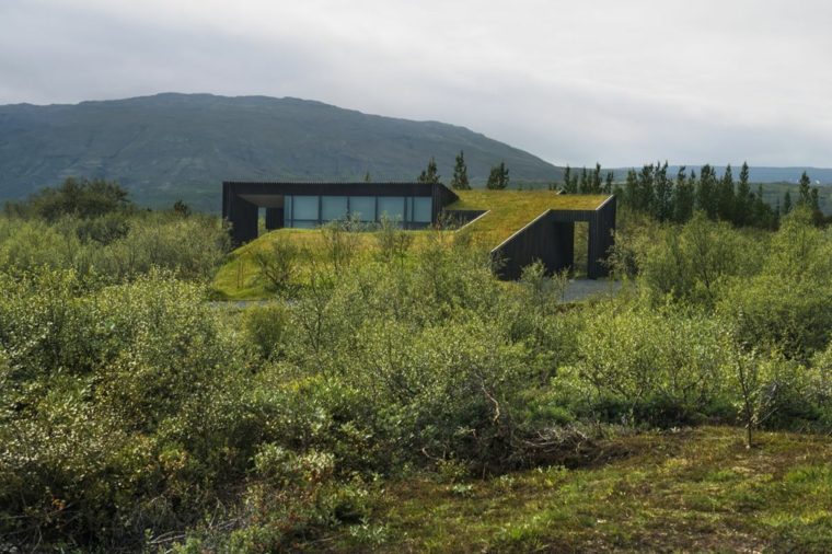 žalios erdvės sodo stogas modernūs namai