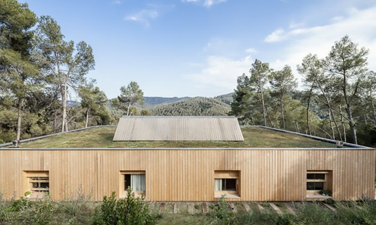 casa tetto in legno vegetazione