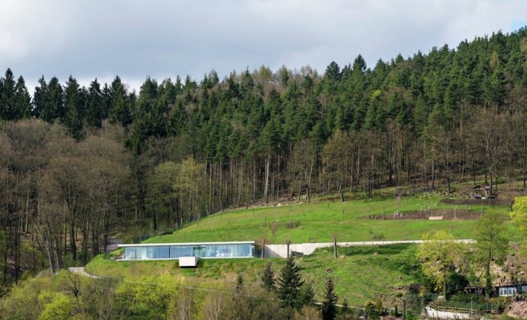 idee per la casa del giardino sul tetto