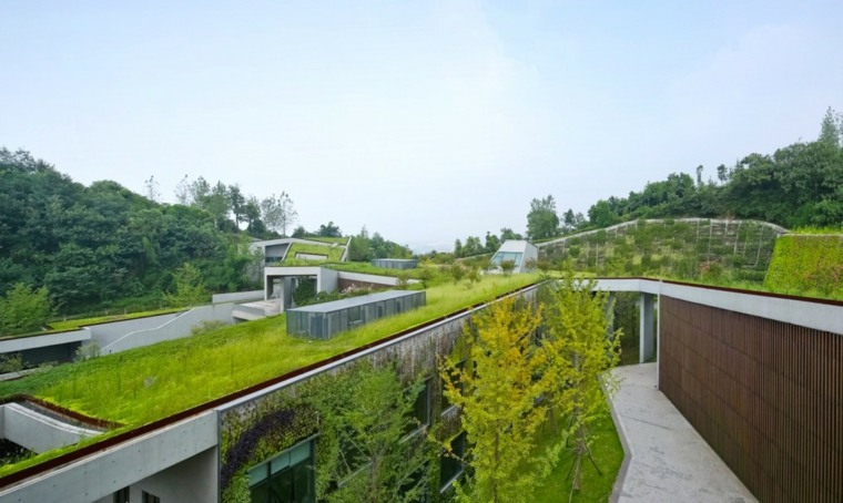緑地庭園モダンな屋根