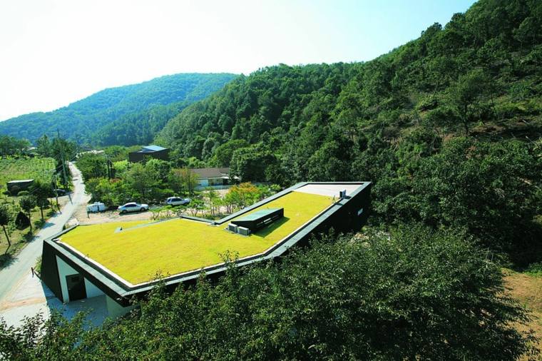 paesaggio esterno della casa del tetto verde