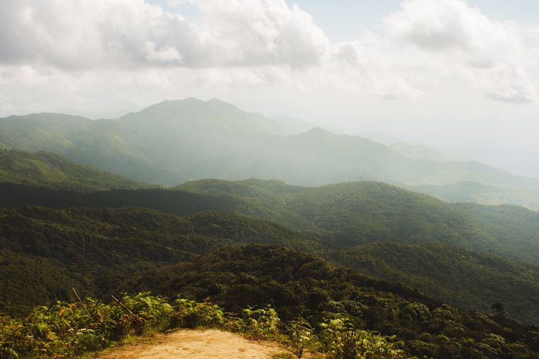 丘山平和な風景